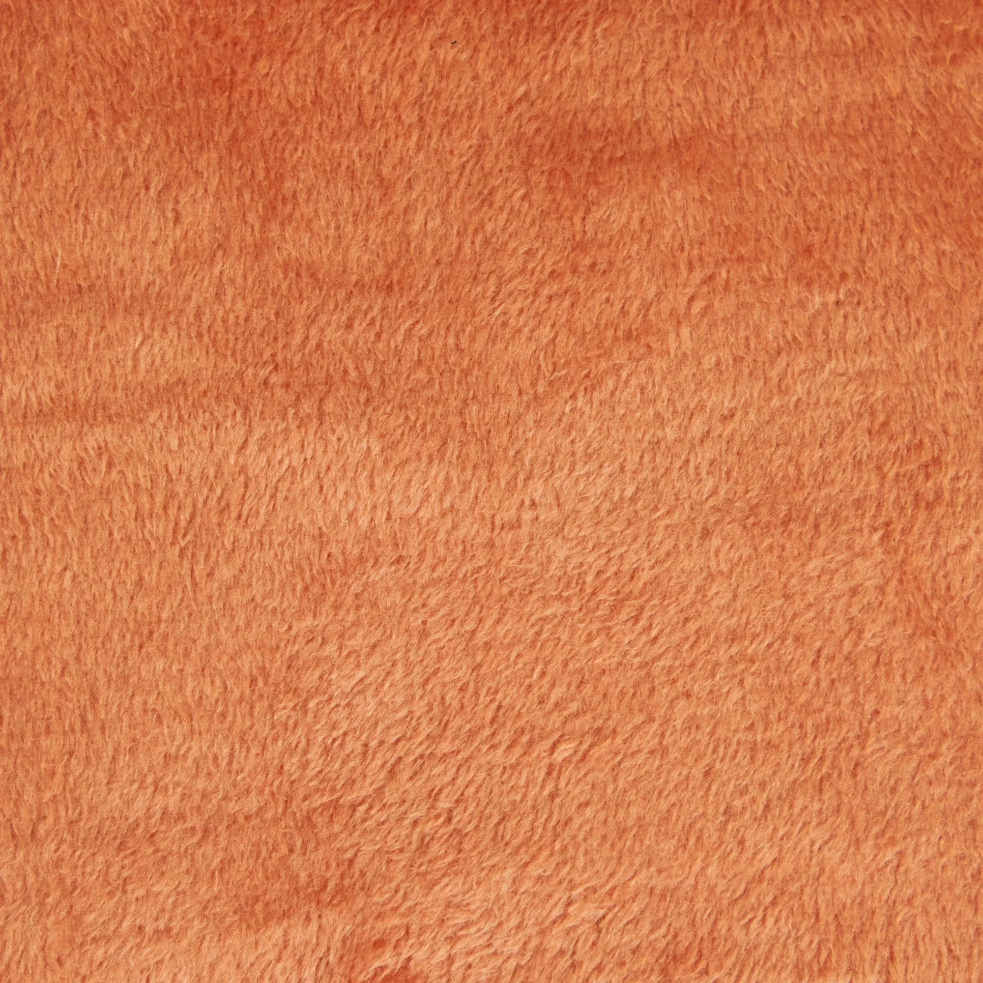 Coral Fleece Plain Fabric