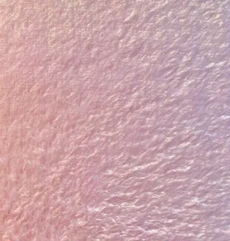 Coral Fleece Plain Fabric