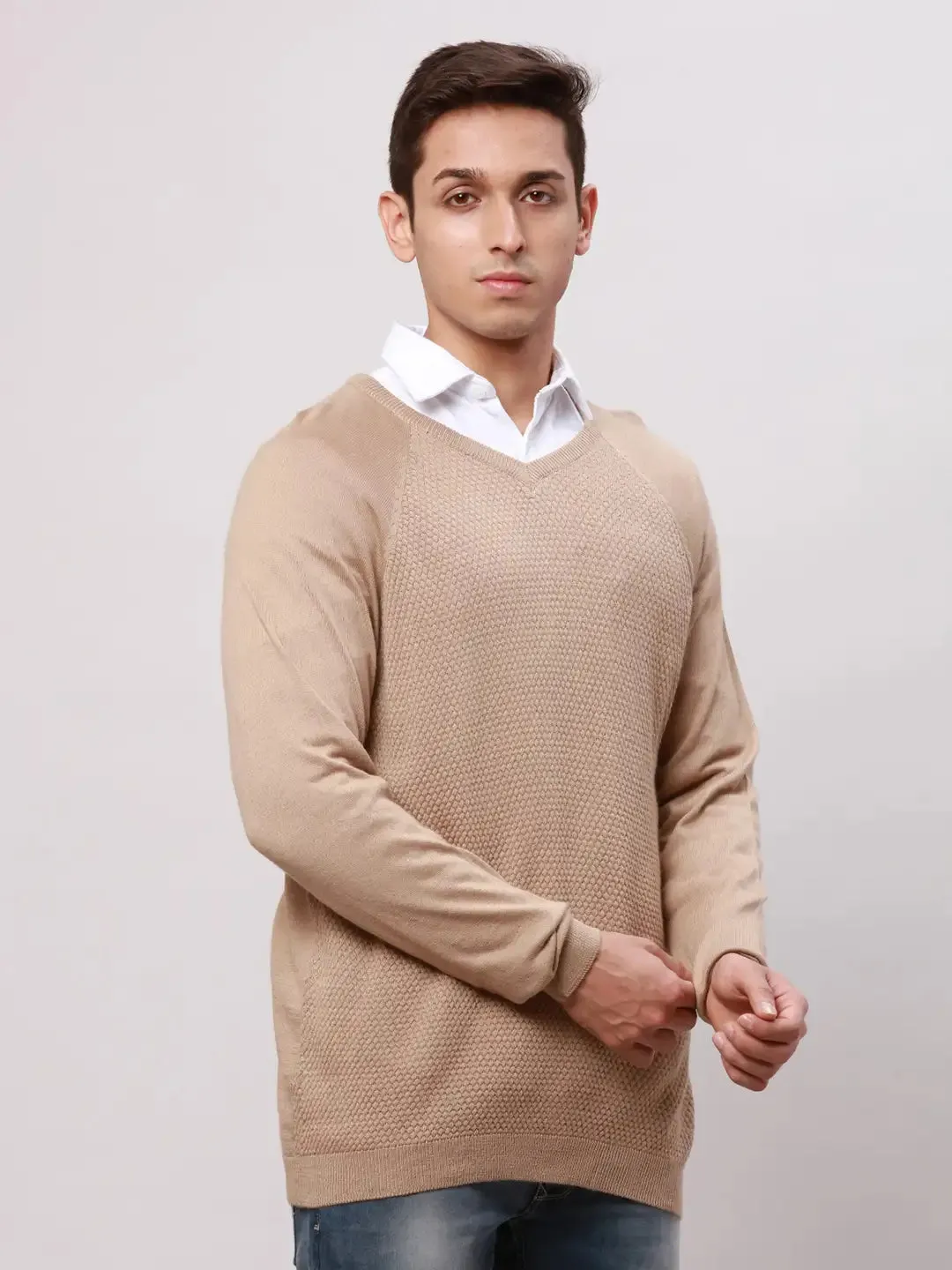 Park Avenue Men Fawn Regular Fit Solid Cotton Full Sleeve V Neck Collar Pullovers