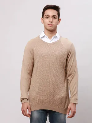 Park Avenue Men Fawn Regular Fit Solid Cotton Full Sleeve V Neck Collar Pullovers