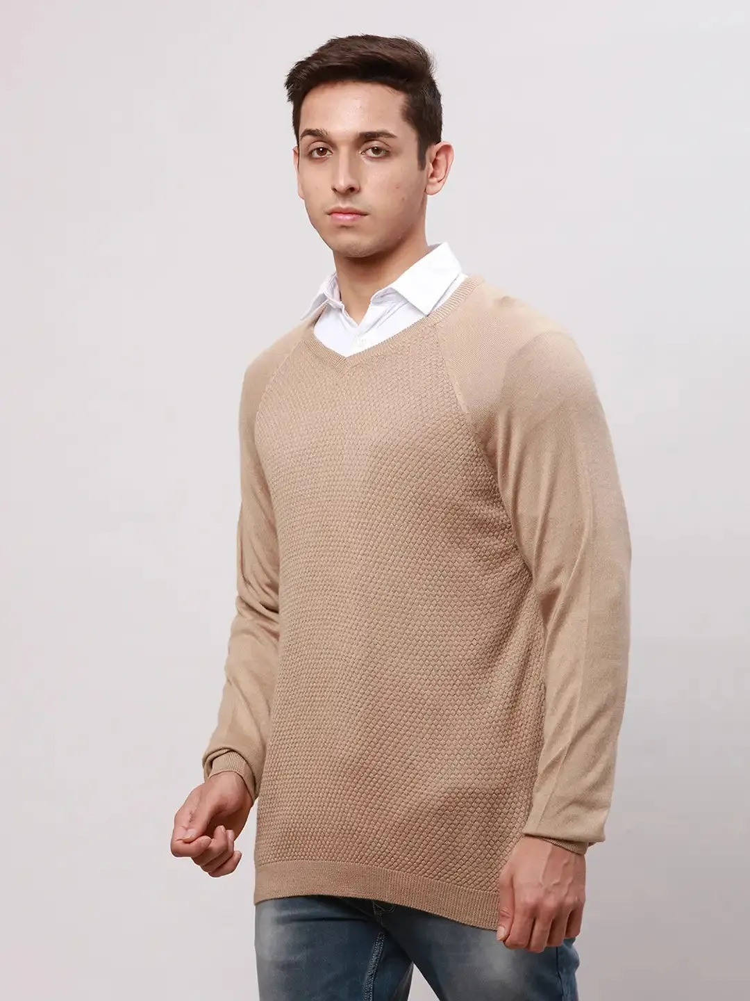Park Avenue Men Fawn Regular Fit Solid Cotton Full Sleeve V Neck Collar Pullovers
